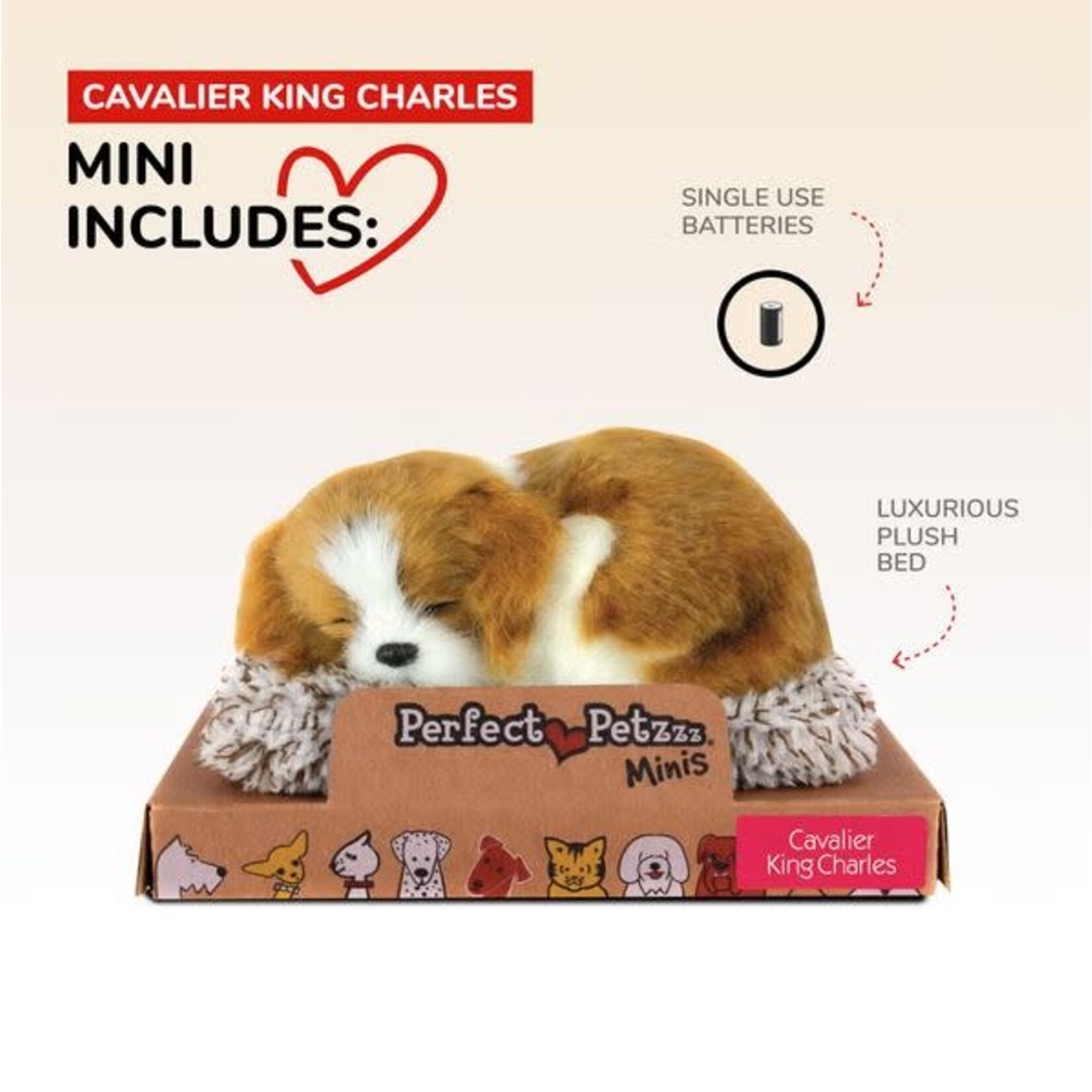 88 Unlimited Mini Cavalier King Charles Perfect Petzzz