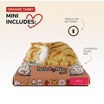 88 Unlimited Mini Orange Tabby Kitten Perfect Petzzz