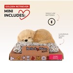 88 Unlimited Mini Golden Retriever Perfect Petzzz
