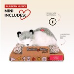 88 Unlimited Mini Alaskan Husky Perfect Petzzz