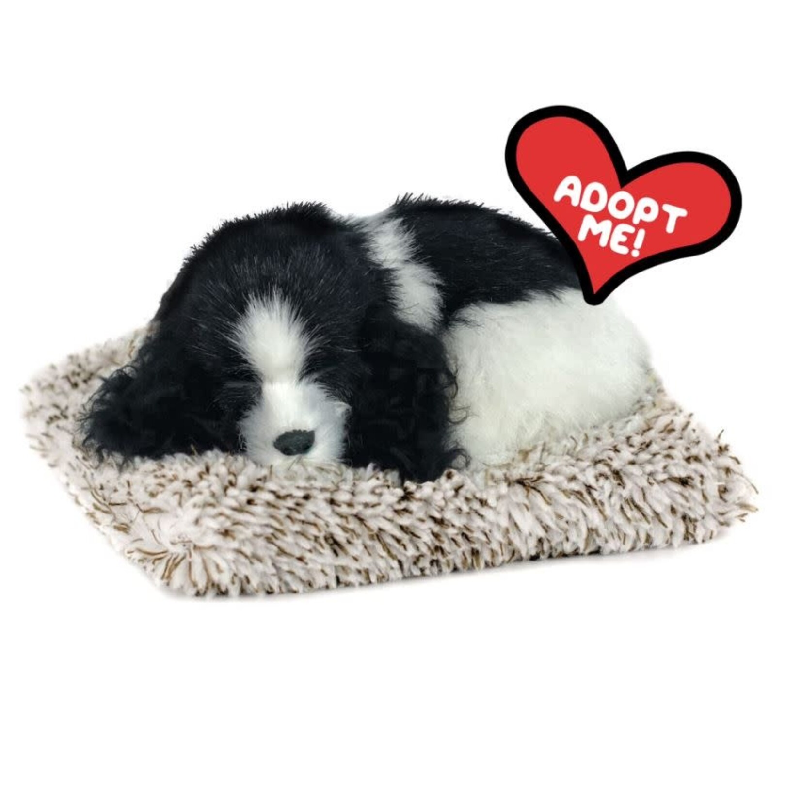 88 Unlimited Mini Cocker Spaniel Perfect Petzzz