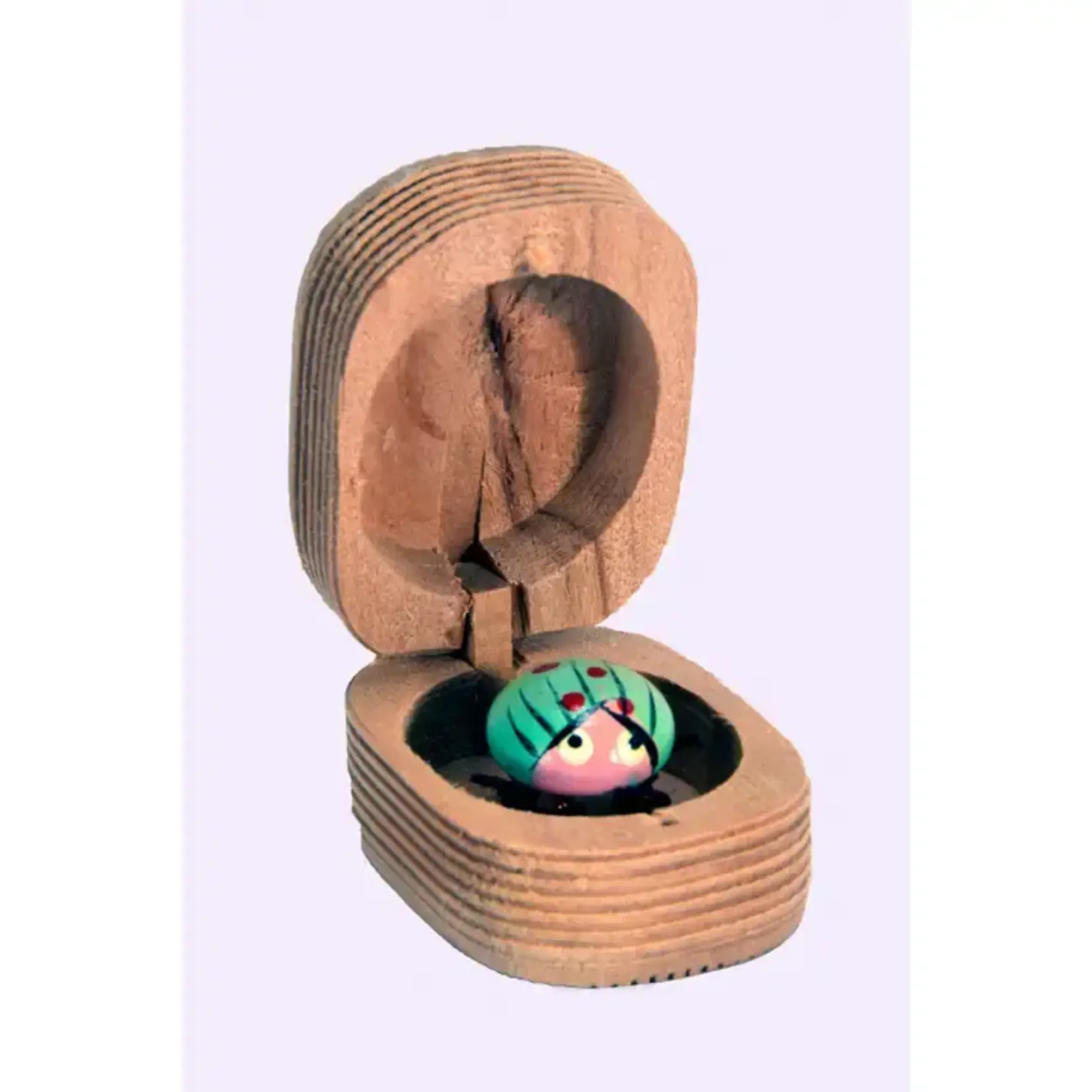 Pawnee Bills Wooden Bug in a Box - Assorted