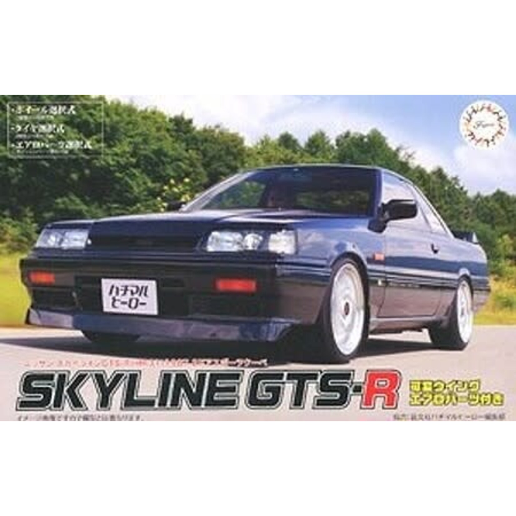 Fujimi 3995 1/24 1987 Nissan Skyline GTS-R 2 Door Sports Coupe