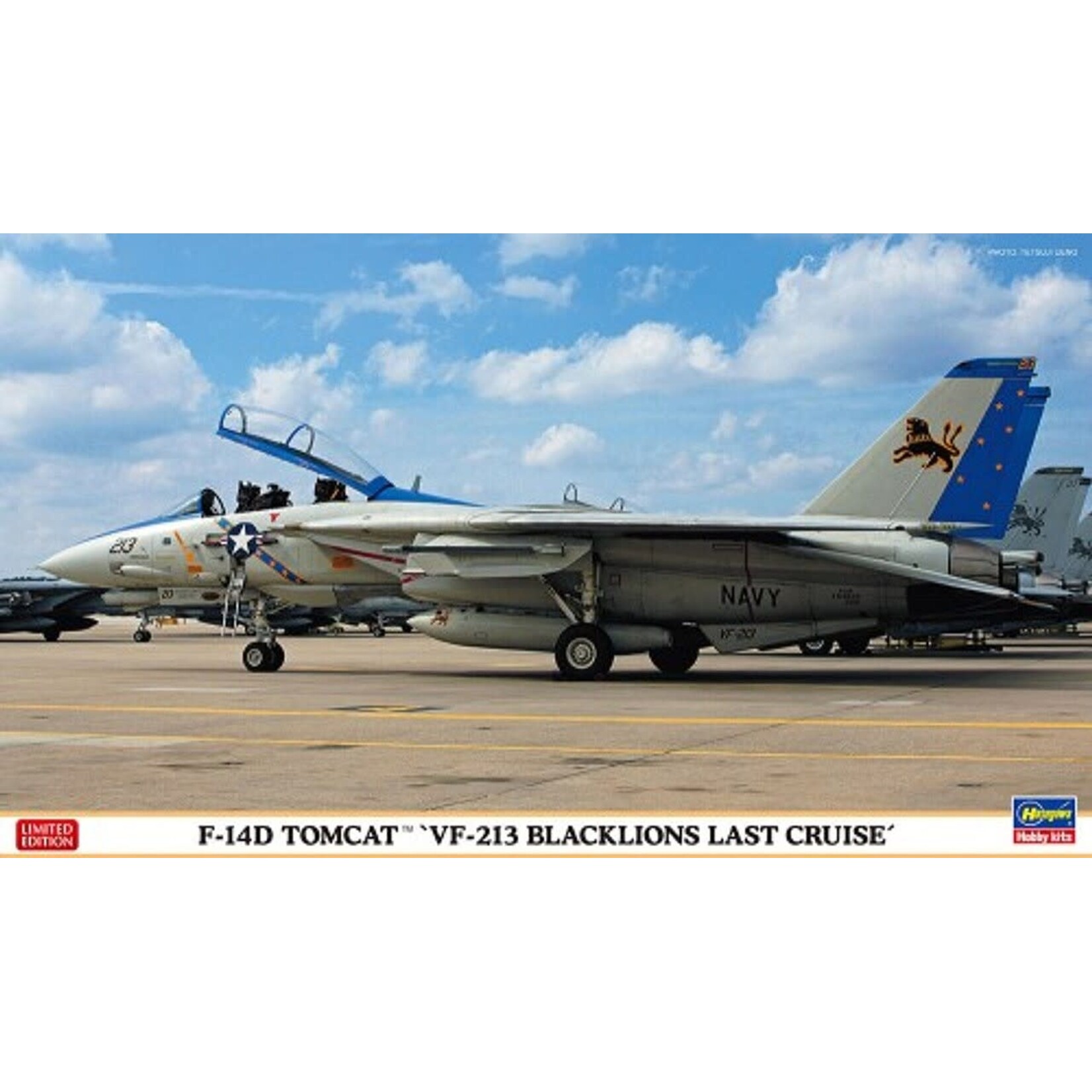 Hasegawa 2406 1/72 F14D Tomcat VF213 Blacklions Last Cruise Fighter Ltd