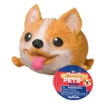 Toysmith 5643 Skwishy 4.5 inch Pet Dog