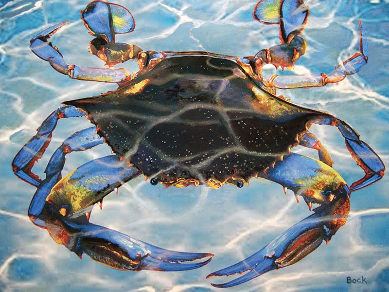 40511 Blue Crab Bay 550 Piece Puzzle