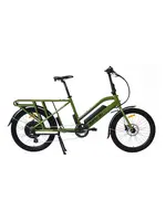 Eunorau eBike Cargo MAX Green