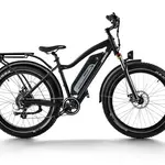 Himiway Himiway Long Range Fat Tire Cruiser