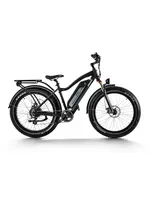 Himiway Himiway Long Range Fat Tire Cruiser