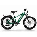 Himiway Himiway Zebra D5 Zebra