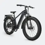 Velowave Velowave Ranger 2.0 Fat eBike