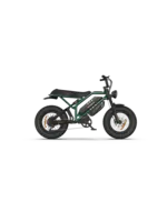 RAEV Raev E Bikes - Bullet GTX Green