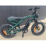 RAEV Raev E-Bikes - Bullet