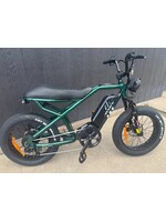 RAEV Raev E-Bikes - Bullet