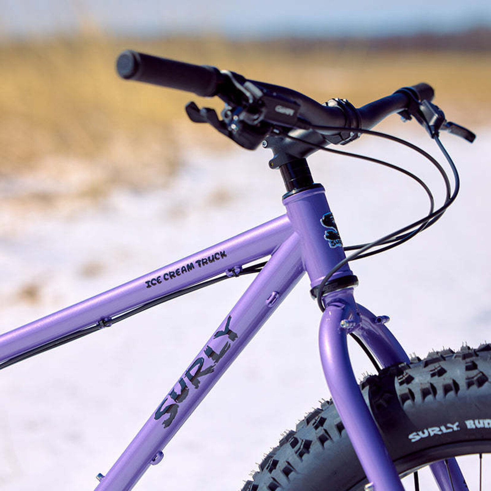 Surly Surly Ice Cream Truck Bike - 26", Steel, Taro Milk Tea, Medium