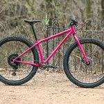 Surly Surly Krampus Bike - 29", Steel, Prickly Pear All Sizes