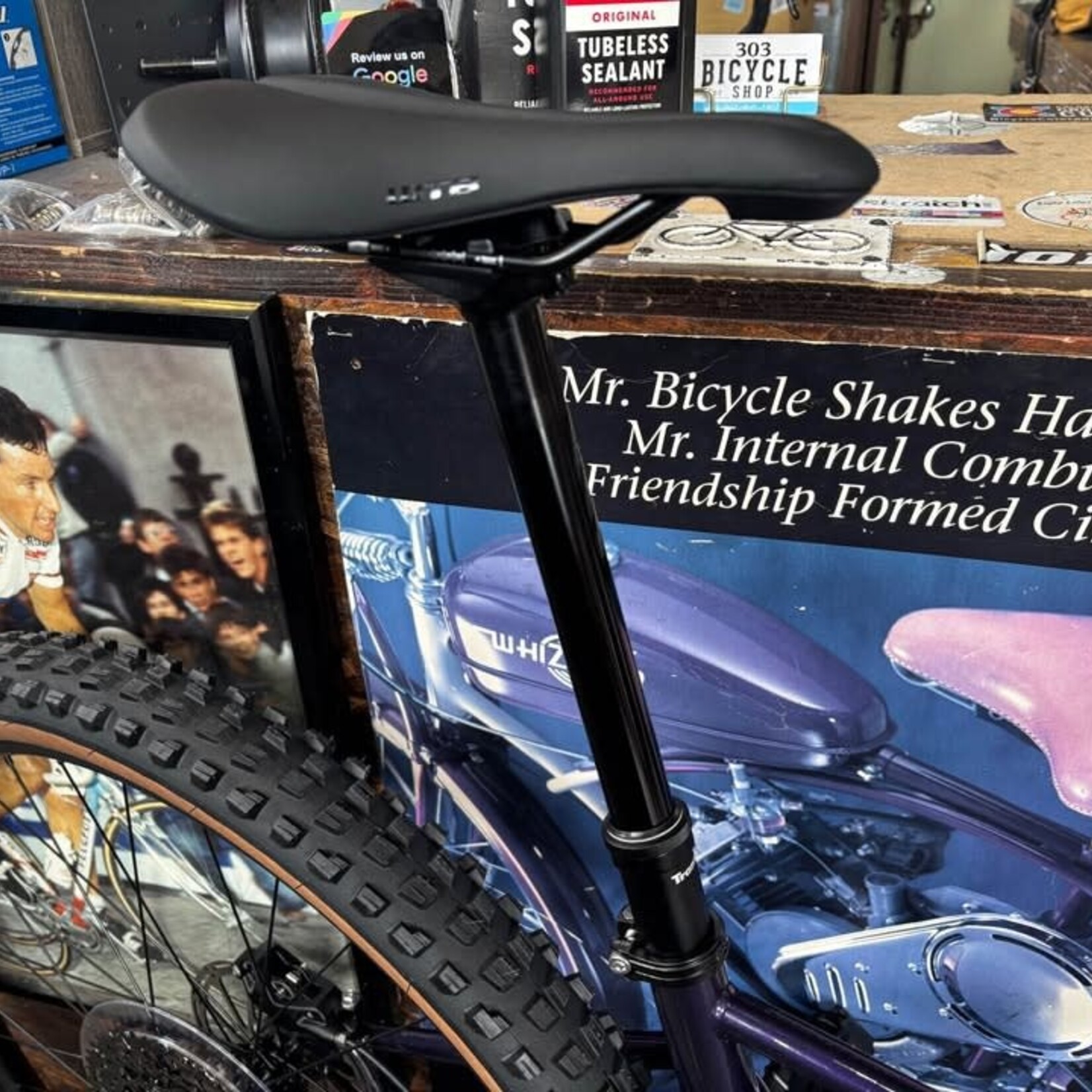 Surly Surly Sorceress Eagle 90 Bike - 29", Steel, Elderberry Tonic, Large