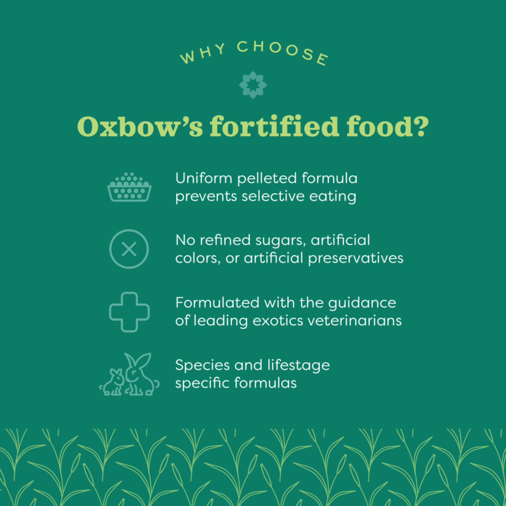 Oxbow Animal Health Essentials Adult Rabbit Food
