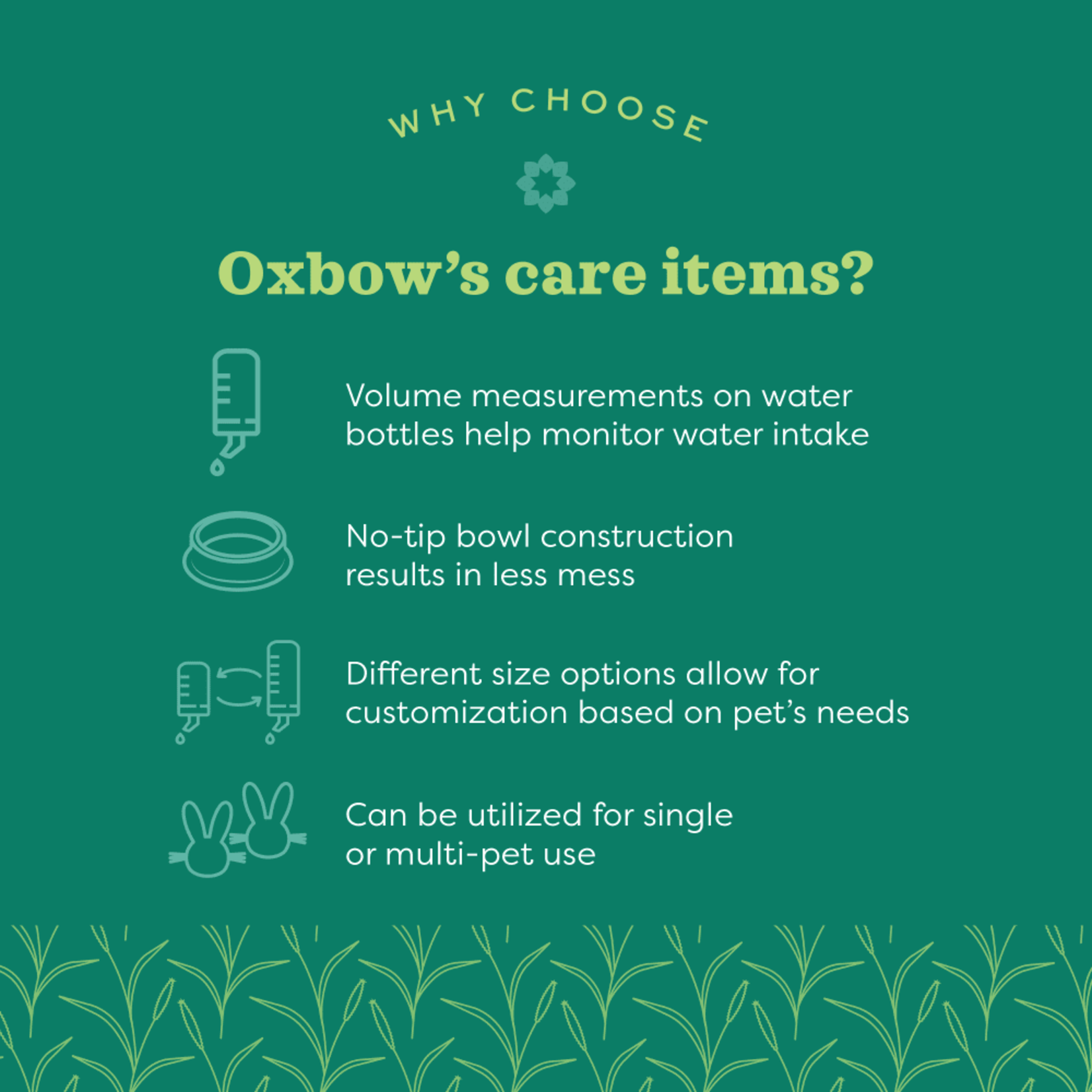 Oxbow Animal Health Enriched Life Forage Bowl