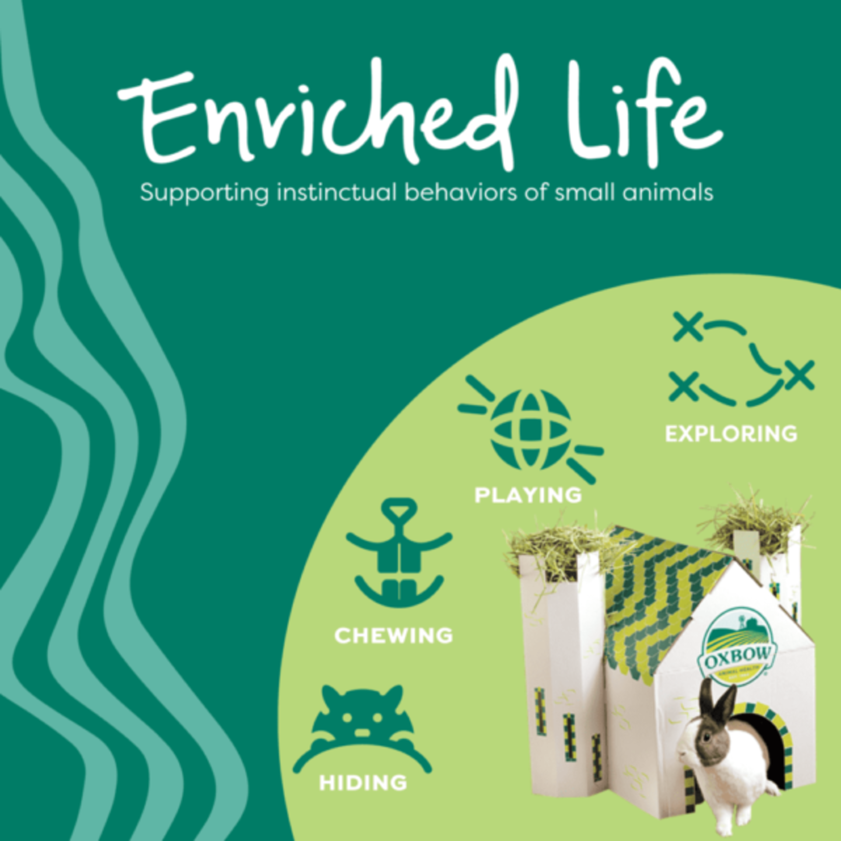 Oxbow Animal Health Enriched Life Roll Arounds