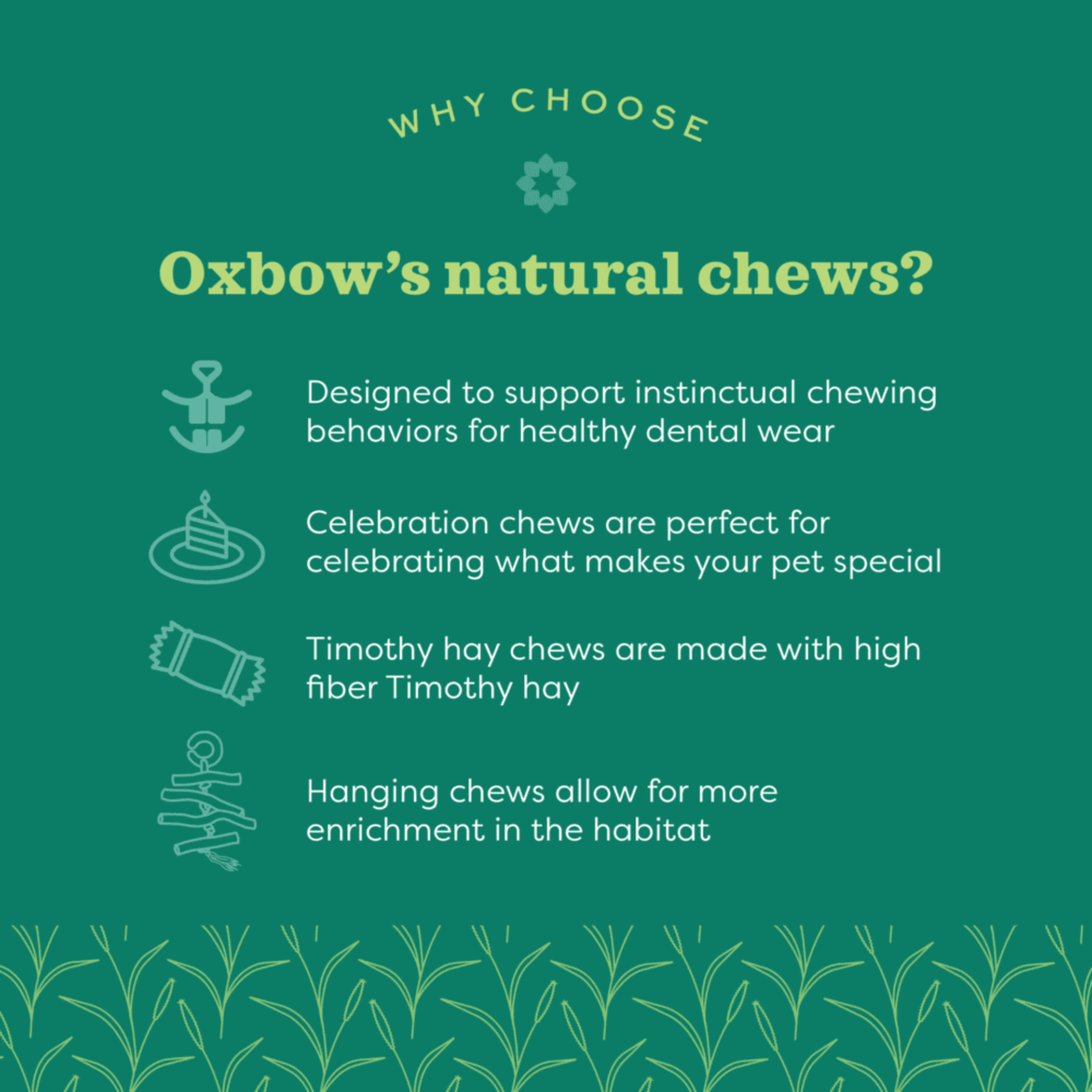 Oxbow Animal Health Enriched Life Apple Stick Bundle