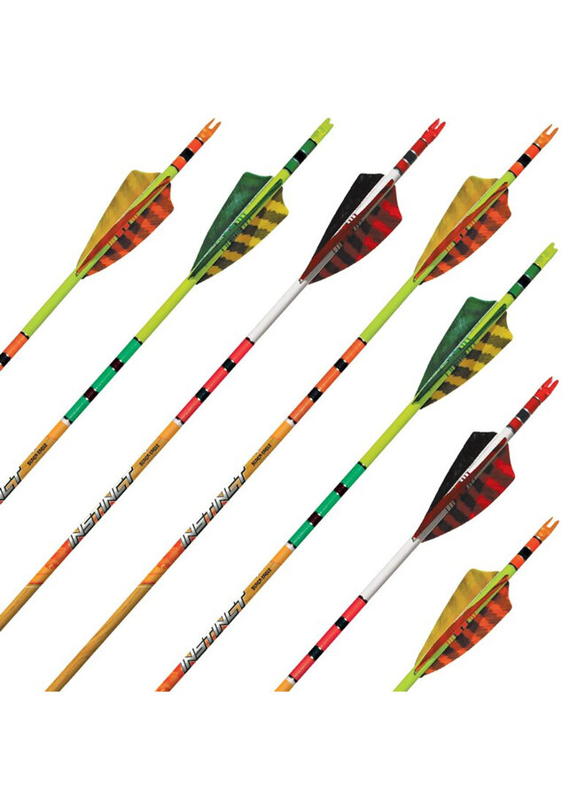 Instinct Fletched Arrows 1/2 Dozen