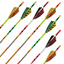 Instinct Fletched Arrows 1/2 Dozen