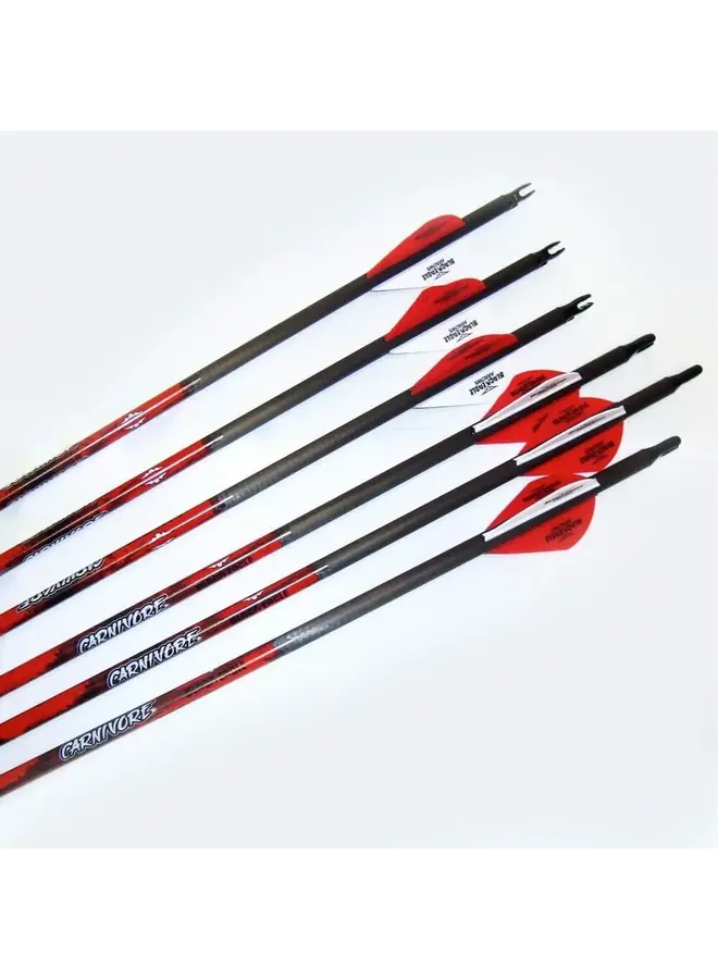 Carnivore Fletched Arrows-1 Dozen