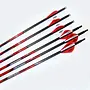 Carnivore Fletched Arrows-1 Dozen