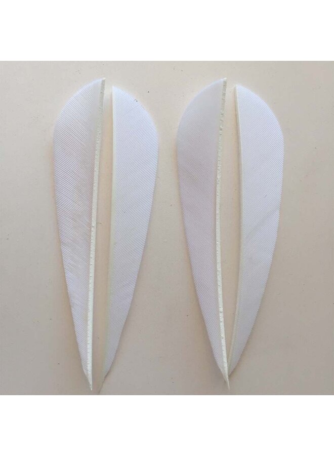 4" LW Parabolic White 50 Ct