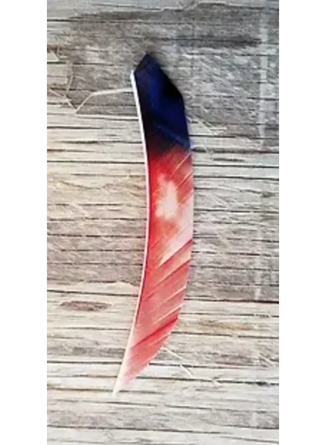 3.5" RW Target Maxxx Victory Eagle Tip Old Glory 100 Pk
