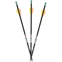 Nano .166 Fletched Arrows-1/2 Dozen