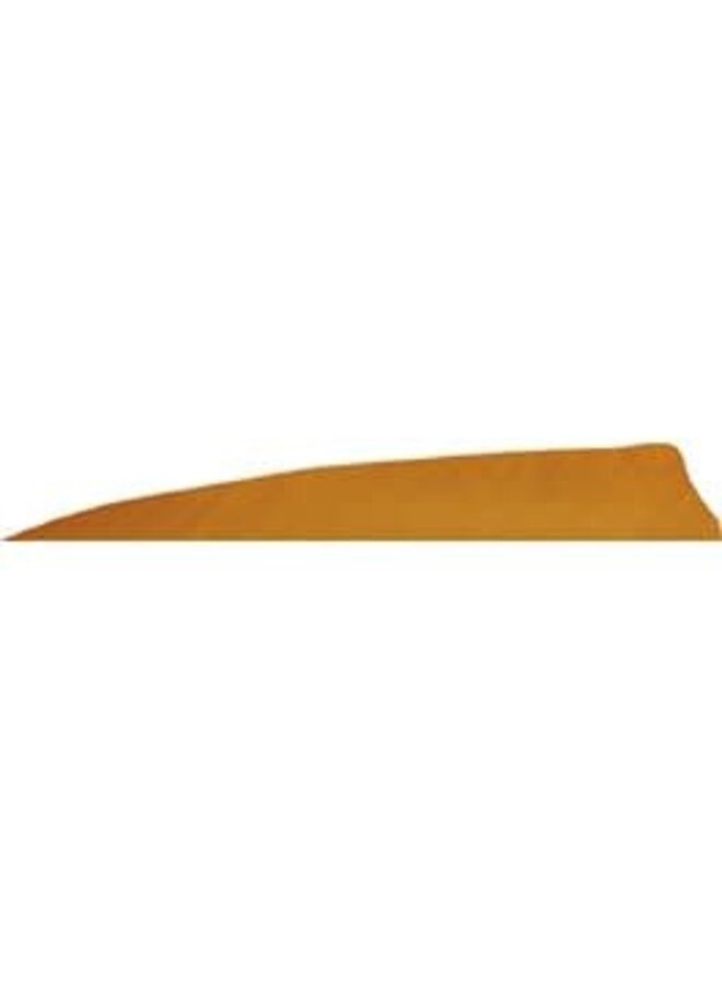 Shield Cut Feathers 3" 50 Count