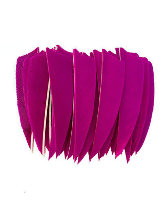 Shield Cut Feathers 3" 50 Count