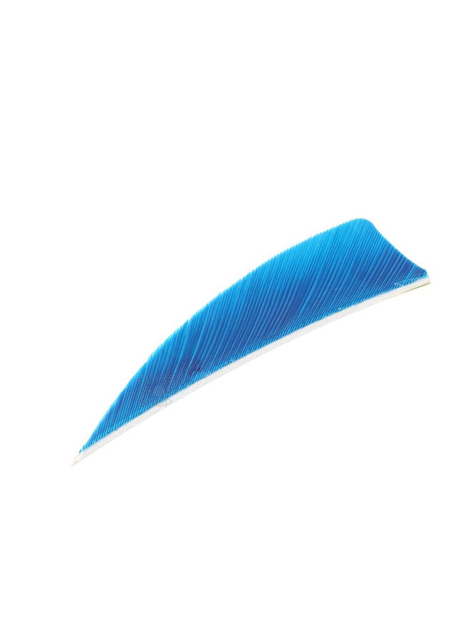 Shield Cut Feathers 3" 50 Count