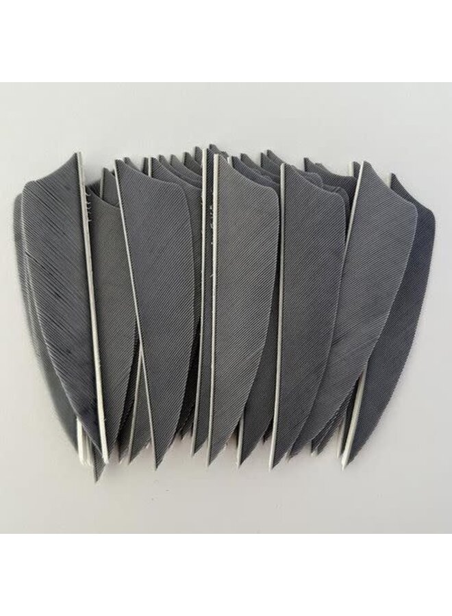 Shield Cut Feathers 4" 50 Count