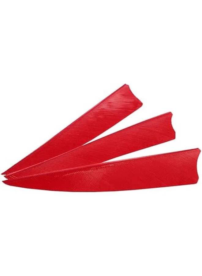 Shield Cut Feathers 4" 50 Count