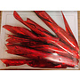 Holographic Red 70mm RH