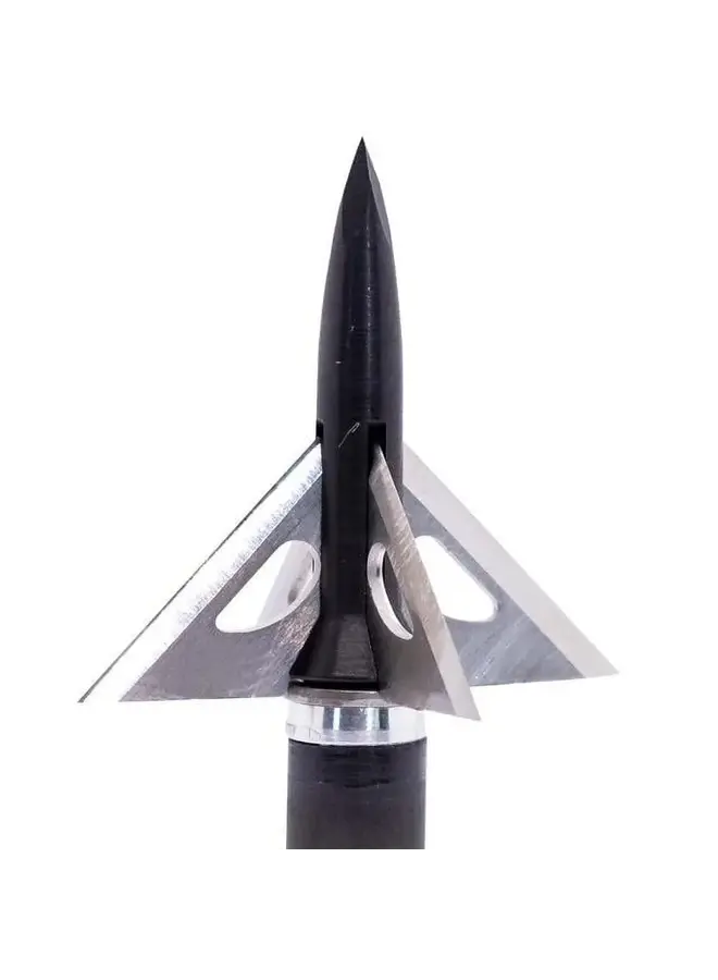 GrizzTrick 2 Broadheads 100 Gr 4 Pk