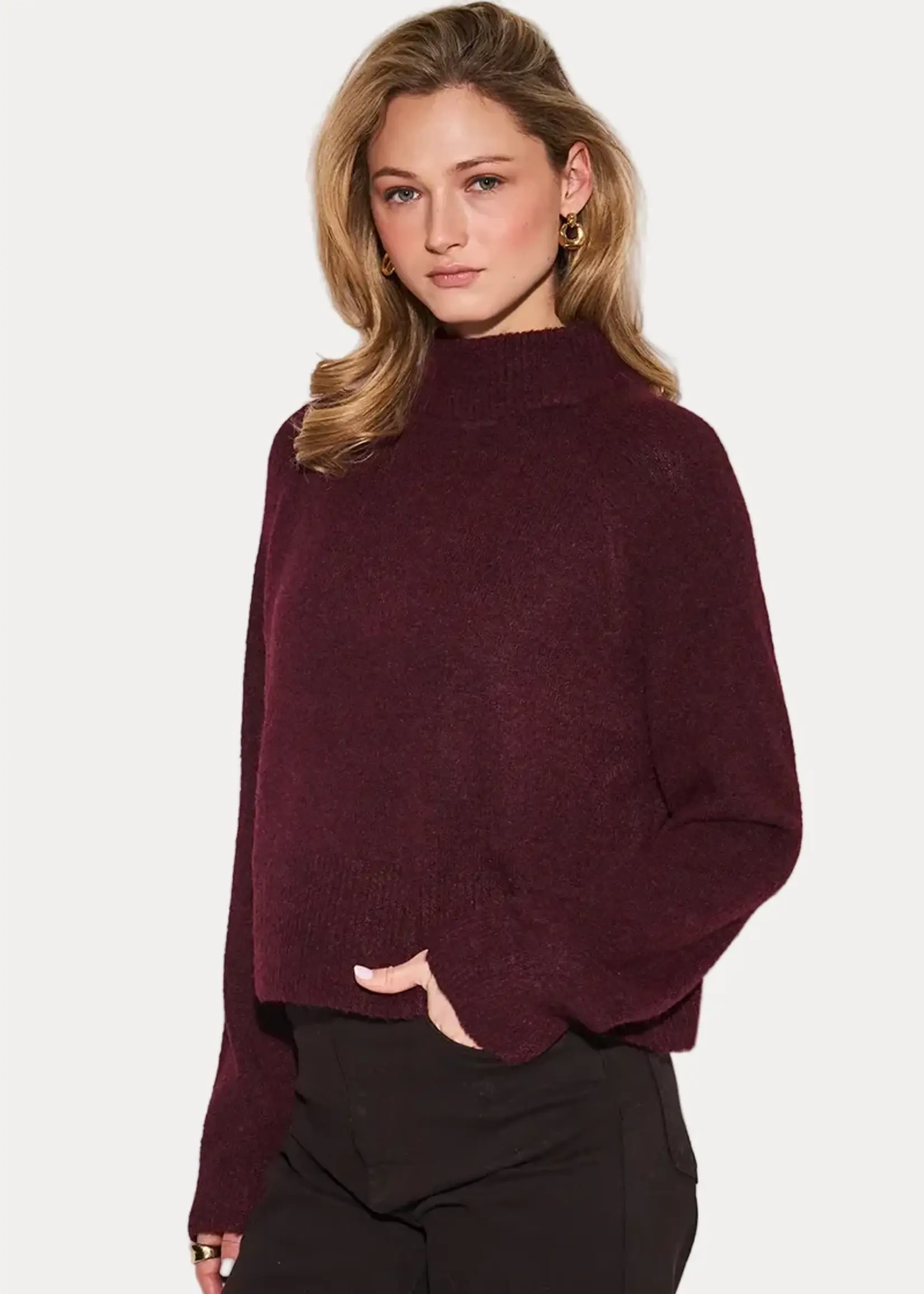 John & Jenn Merlot Oliver Sweater