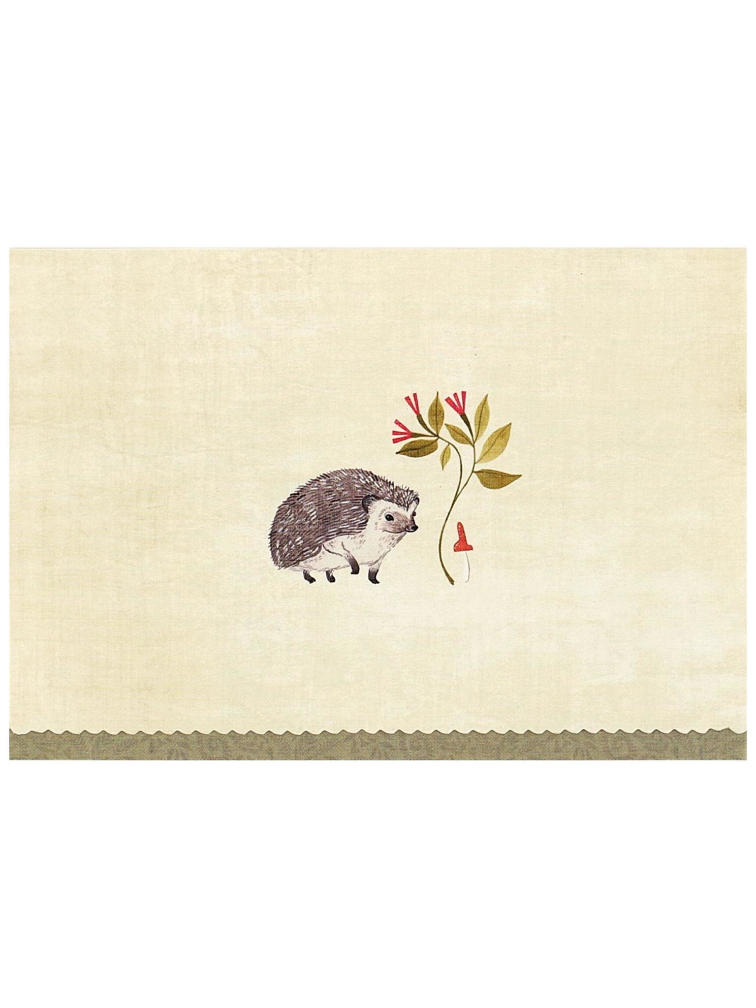 Peter Pauper Hedgehog Boxed Note Cards