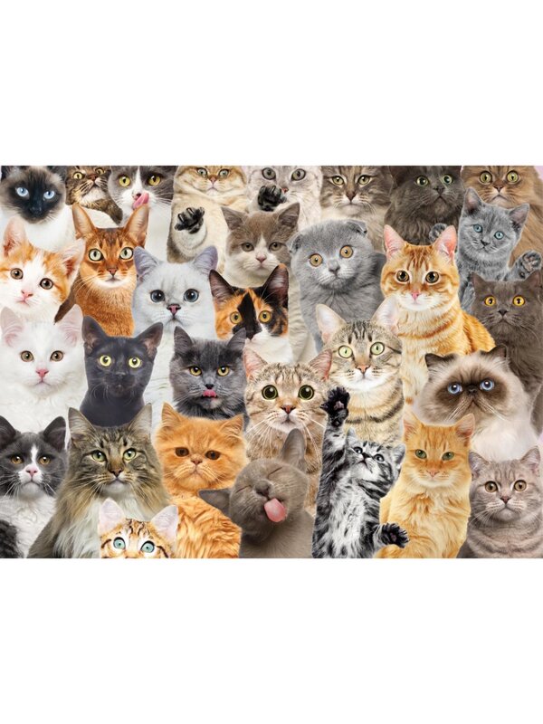 Peter Pauper Puzzle 500 All The Cats