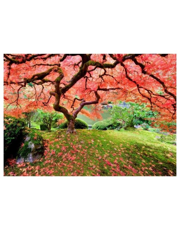 Peter Pauper Puzzle 1000 Japanese Maple Tree