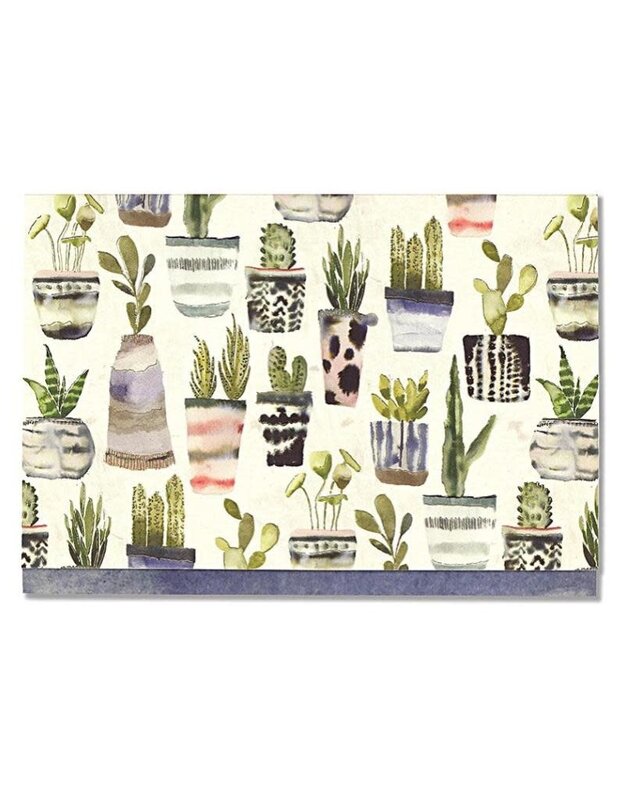 Peter Pauper Watercolor Succulents Boxed Note Cards