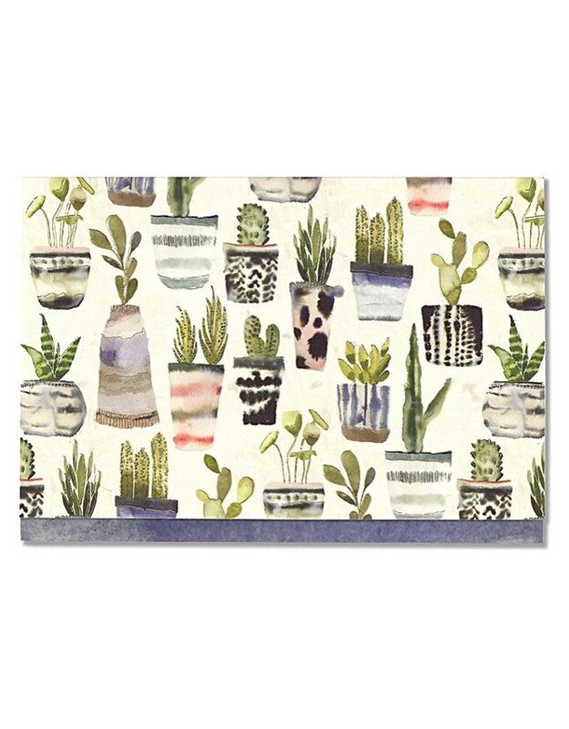 Peter Pauper Watercolor Succulents Boxed Notecards