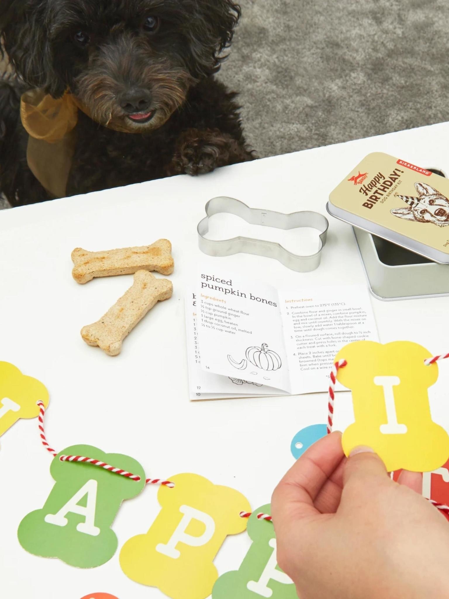 Kikkerland Dog Birthday Kit
