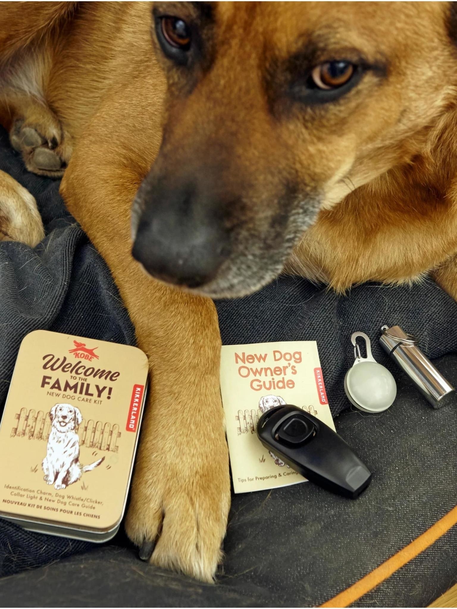 Kikkerland Welcome to the Family Dog Kit