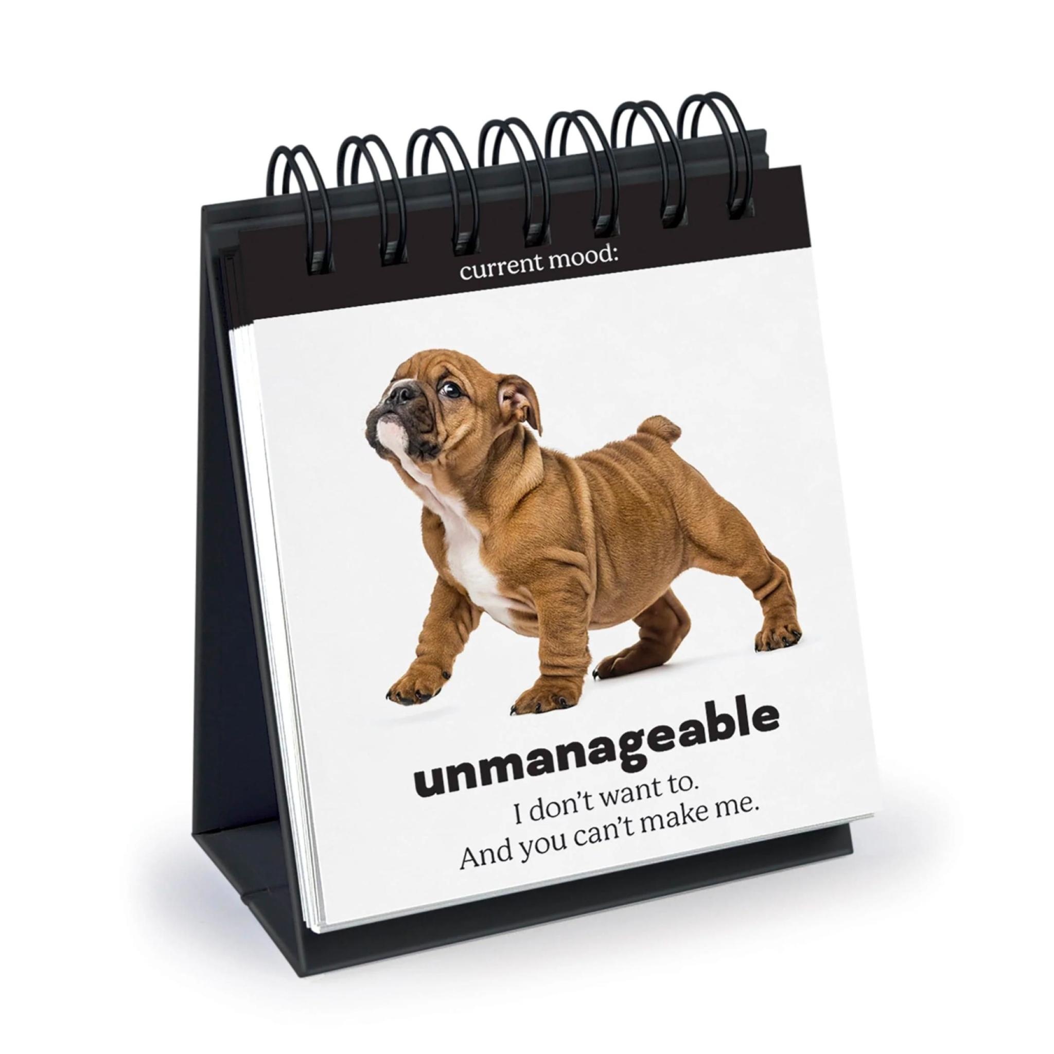 Fred Daily Doggo - Desk Flipchart