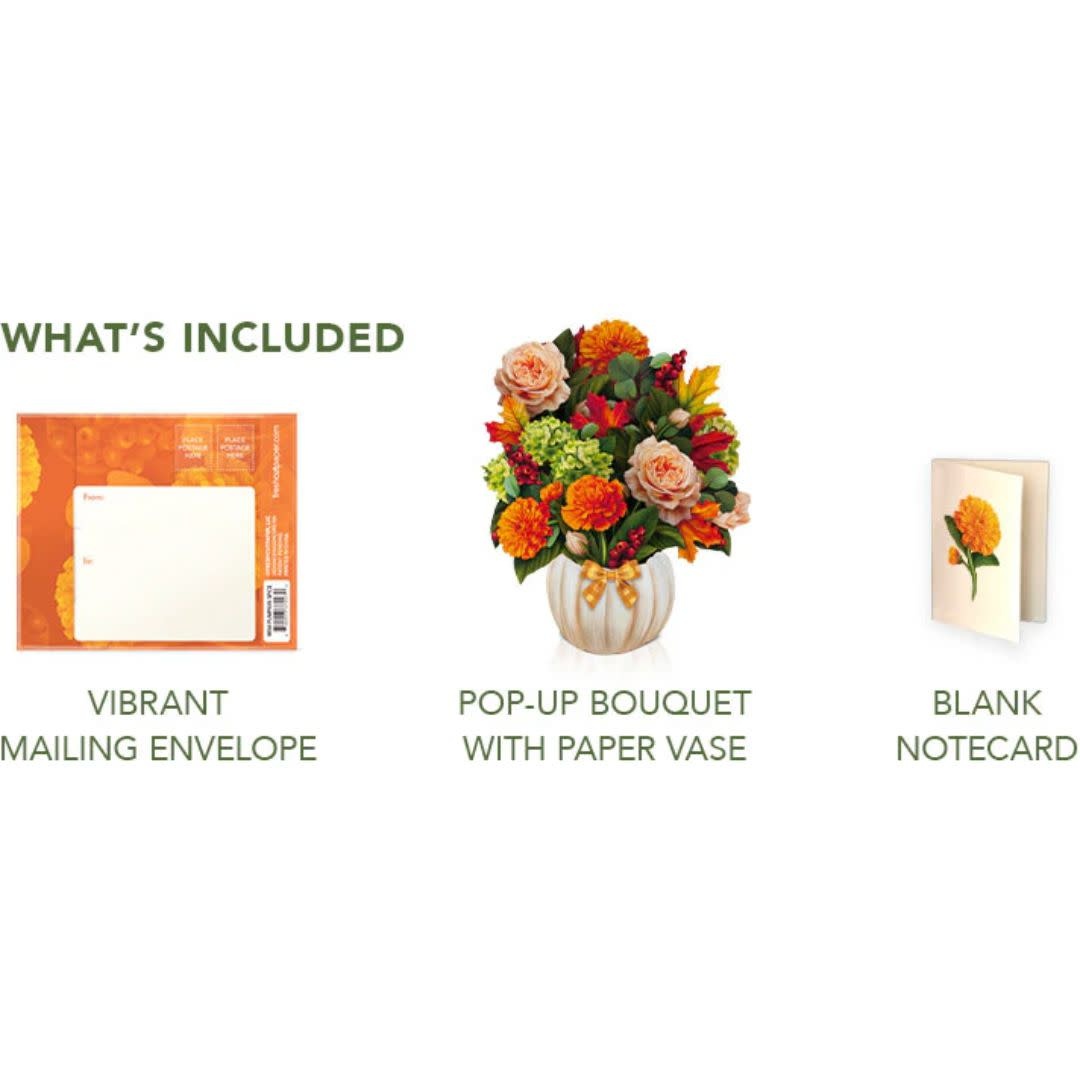 Freshcut Paper Mini Pumpkin Spice Card