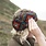 Andes Gifts Diamond Ear Warmers